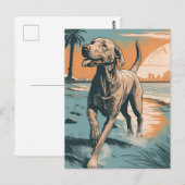 Weimaraner aan het strand briefkaart (Voorkant / Achterkant)