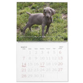 Weimaraner Agenda 1 Kalender (Mar 2027)