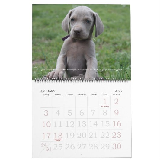 Weimaraner Agenda 1 Kalender (Jan 2027)