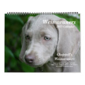 Weimaraner Agenda 1 Kalender (Hoes)