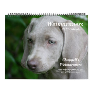 Weimaraner Agenda 1 Kalender