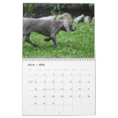 Weimaraner Agenda Kalender (Mar 2026)