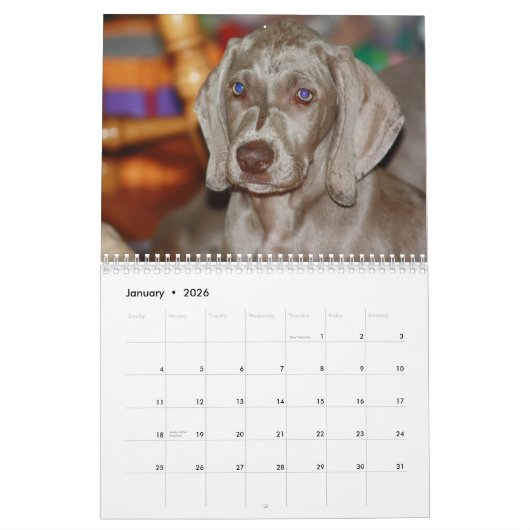 Weimaraner Agenda Kalender (Jan 2026)