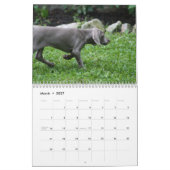 Weimaraner Agenda Kalender (Mar 2027)
