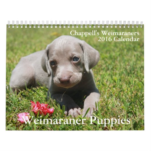 Weimaraner Agenda Kalender (Hoes)