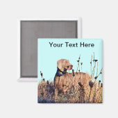 Weimaraner bij ophalen magneet (Voorkant / Achterkant)