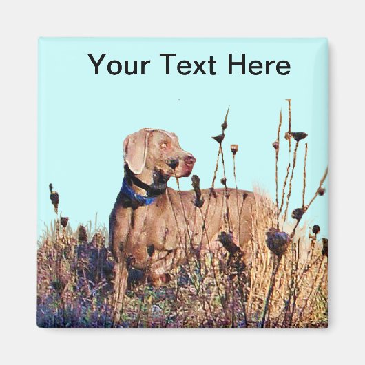 Weimaraner bij ophalen magneet (Voorkant)