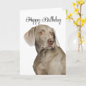 Weimaraner Birthday Card Kaart (Gele Bloem)
