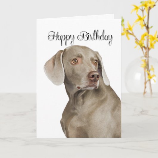 Weimaraner Birthday Card Kaart (Gele Bloem)