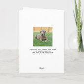 Weimaraner Birthday Card Kaart (Achterkant)