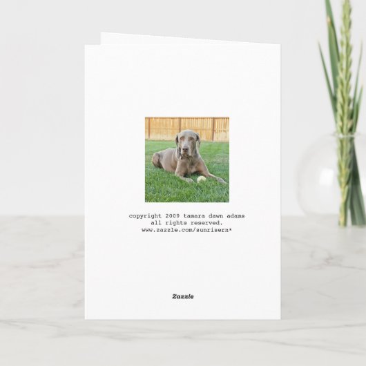 Weimaraner Birthday Card Kaart (Achterkant)