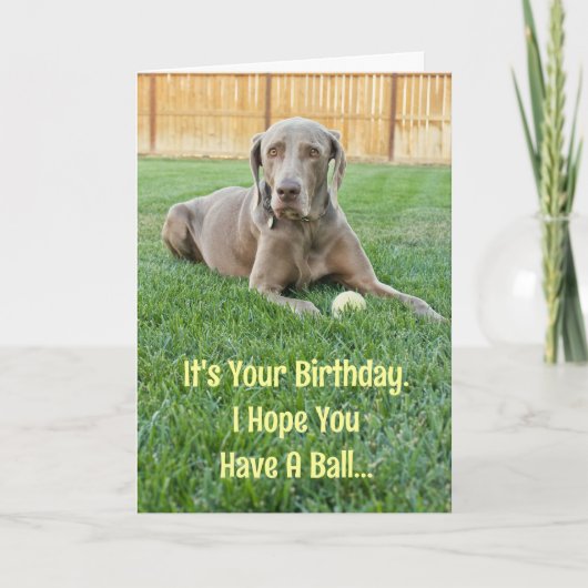 Weimaraner Birthday Card Kaart (Voorkant)