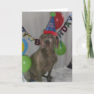 Weimaraner Birthday Greetings Card Kaart