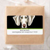 Weimaraner Black in Olive Traditional Etiket (Insitu)