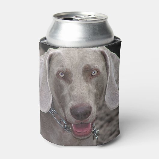 Weimaraner Blikjeskoeler (Blikje Voorkant)