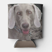 Weimaraner Blikjeskoeler (Voorkant)