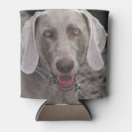 Weimaraner Blikjeskoeler (Voorkant)