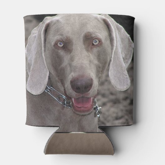 Weimaraner Blikjeskoeler (Achterkant)