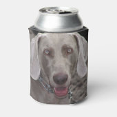 Weimaraner Blikjeskoeler (Blikje Achterkant)