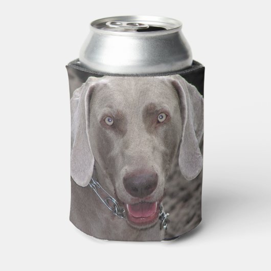 Weimaraner Blikjeskoeler (Blikje Achterkant)