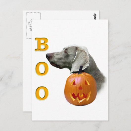 Weimaraner Boo Briefkaart (Voorkant / Achterkant)
