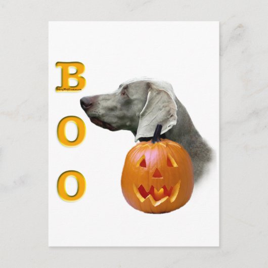 Weimaraner Boo Briefkaart (Voorkant)