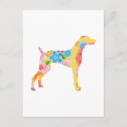 Weimaraner Briefkaart (Voorkant)