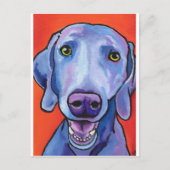 Weimaraner Briefkaart (Voorkant)
