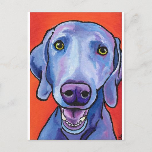 Weimaraner Briefkaart (Voorkant)