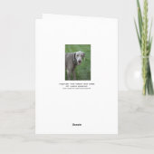 Weimaraner & Butterfly Card Kaart (Achterkant)
