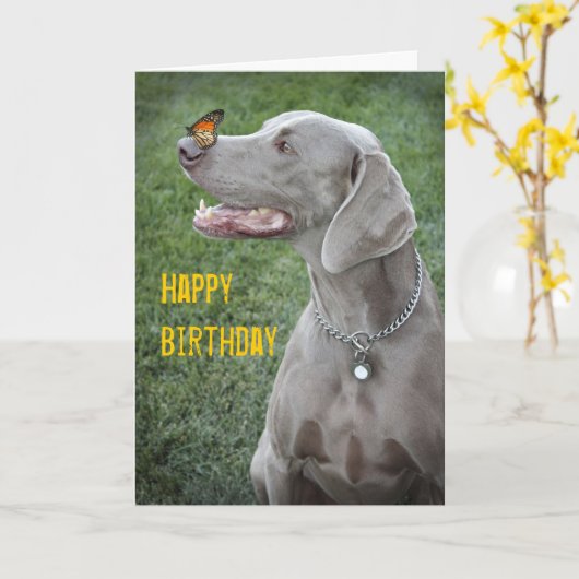 Weimaraner & Butterfly Card Kaart (Gele Bloem)