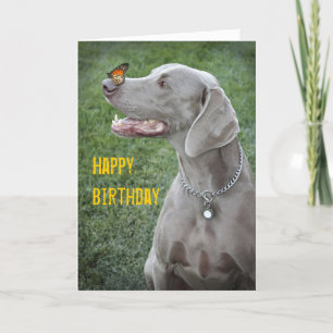Weimaraner & Butterfly Card Kaart