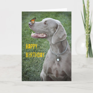 Weimaraner & Butterfly Card Kaart