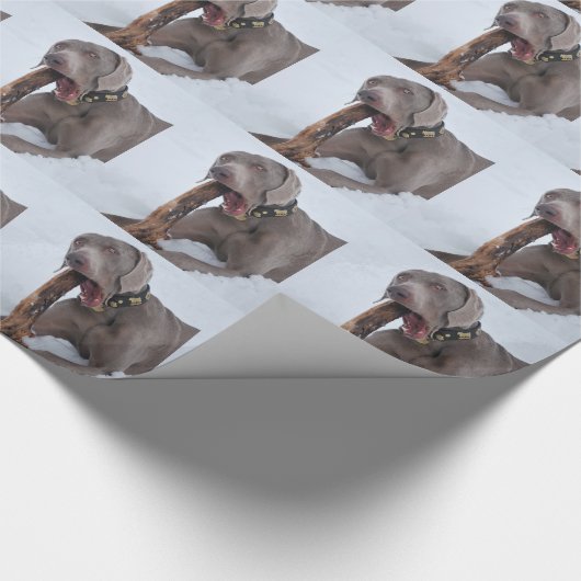 Weimaraner Cadeaupapier (Hoek)