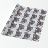 Weimaraner Cadeaupapier (Uitgerold)