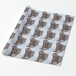 Weimaraner Cadeaupapier