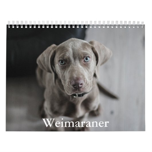 Weimaraner Calendar Kalender (Hoes)