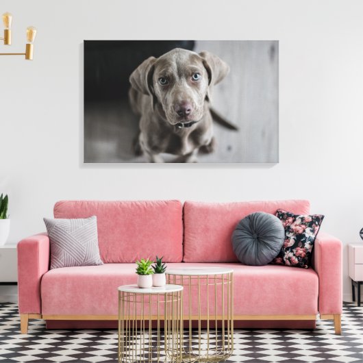 Weimaraner Canvas Afdruk (Insitu (Woonkamer))