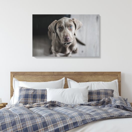 Weimaraner Canvas Afdruk (Insitu (Slaapkamer))