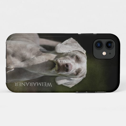 Weimaraner Case-Mate iPhone Case (Achterkant (horizontaal))