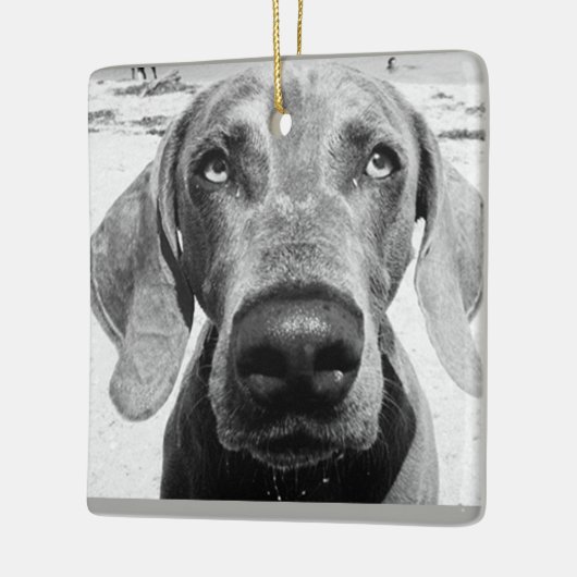 ***WEIMARANER** CHRISMAS ORNAMENT (Links)