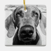 ***WEIMARANER** CHRISMAS ORNAMENT (Voorkant)