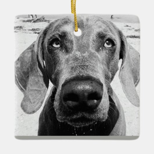 ***WEIMARANER** CHRISMAS ORNAMENT (Voorkant)