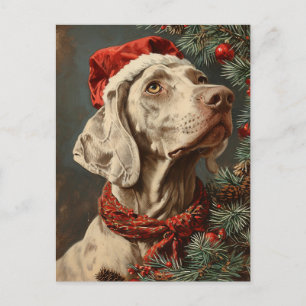 Weimaraner Christmas Briefkaart
