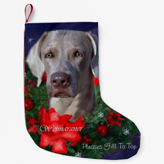 Weimaraner Christmas Kleine Kerstsok (Voorkant)