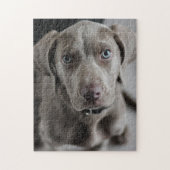 Weimaraner Cutie Pie Legpuzzel (Verticaal)