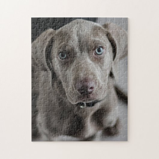 Weimaraner Cutie Pie Legpuzzel (Verticaal)