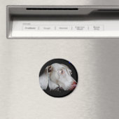 Weimaraner - De grijze geest Magneet (Insitu (Vaatwasser))