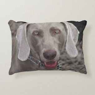 Weimaraner Decoratief Kussen