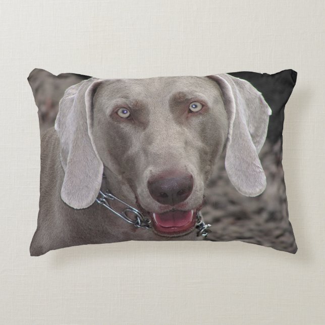 Weimaraner Decoratief Kussen (Voorkant)